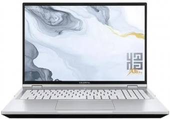 Ноутбук Colorful X16 Pro-HP56A16512S-W-C2A-Win11 (A10207000008) i5-14450HX/16Gb (1*16 D5)/SSD512Gb/RTX5060 (115W) 8Gb/16"/IPS/2560x1600/RJ-45
