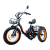 Электровелосипед Kugoo Trike
