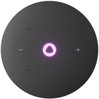 Яндекс Станция Мини 3 Про Zigbee Gray